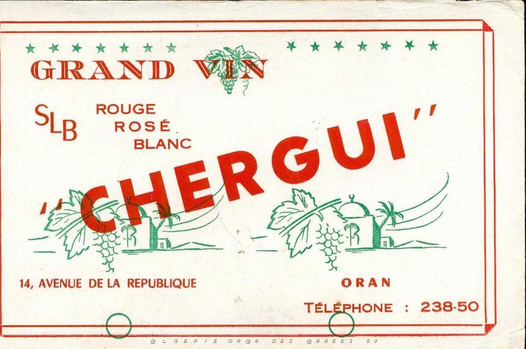PUB 03 CHERGUI.JPG